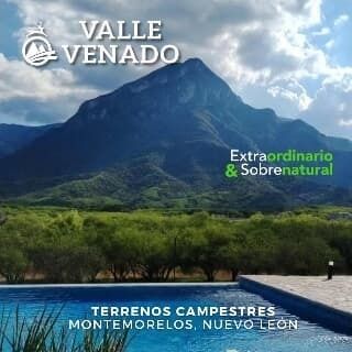 Imagen 1 de 7