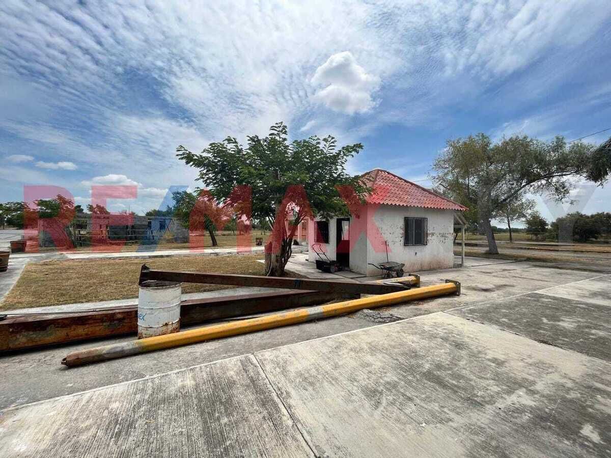 25 de 26