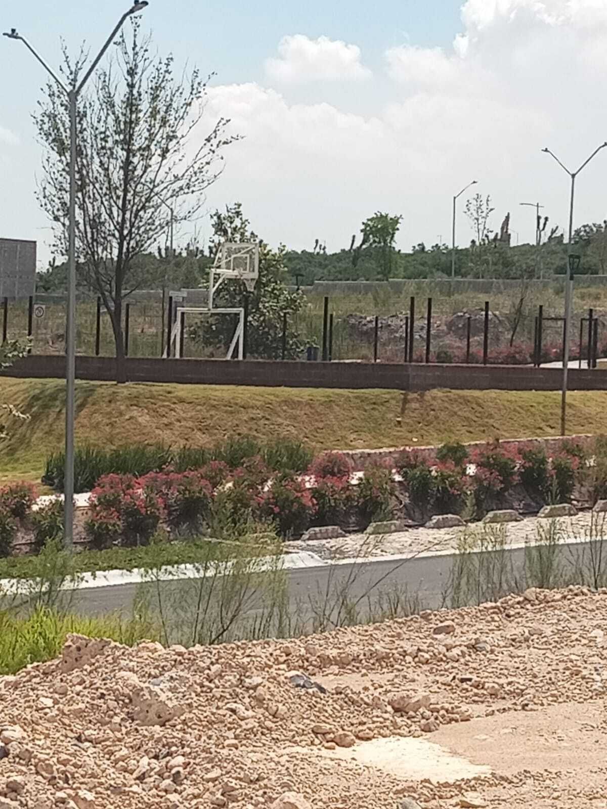 Imagen 4 de 8