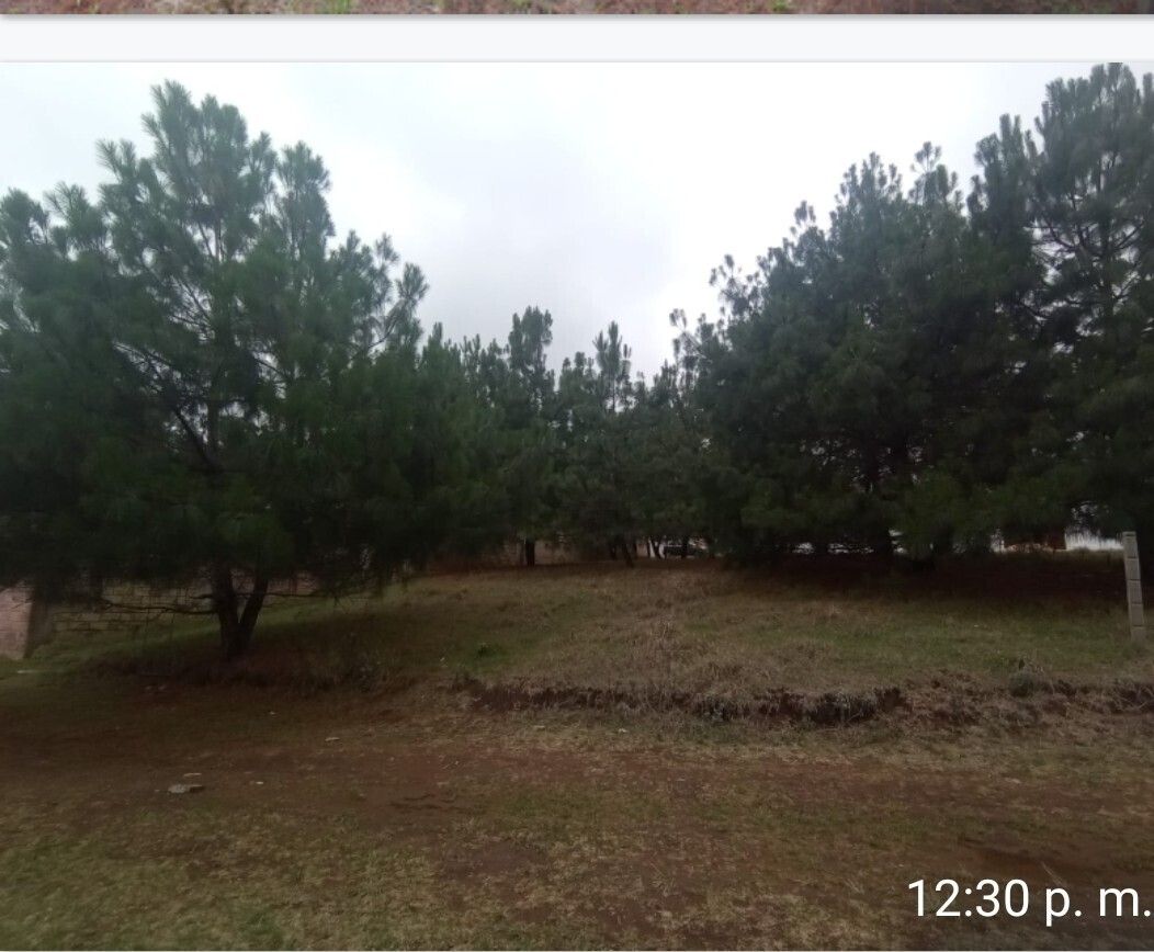 TERRENO EN ZACATLAN, PUEBLA IDEAL PARA CABAÑA