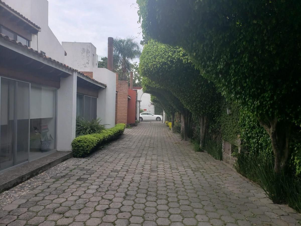 4 de 14