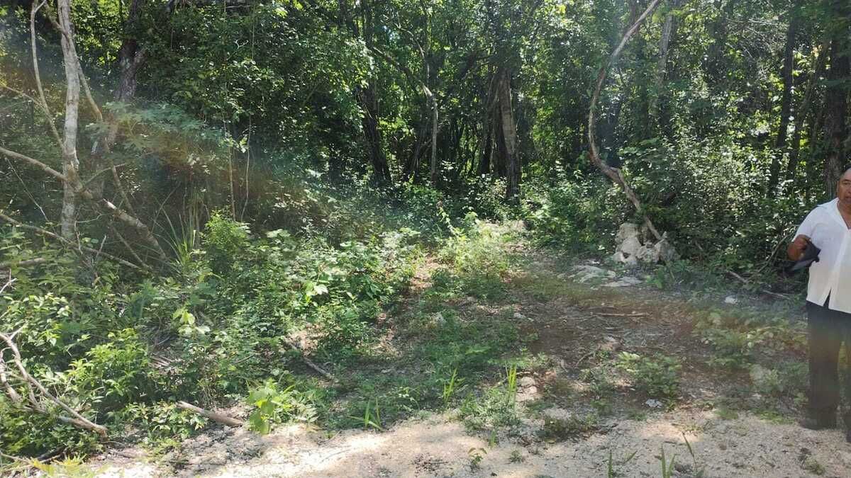 Terreno en Chemax, Chemax, foto 8 de 11