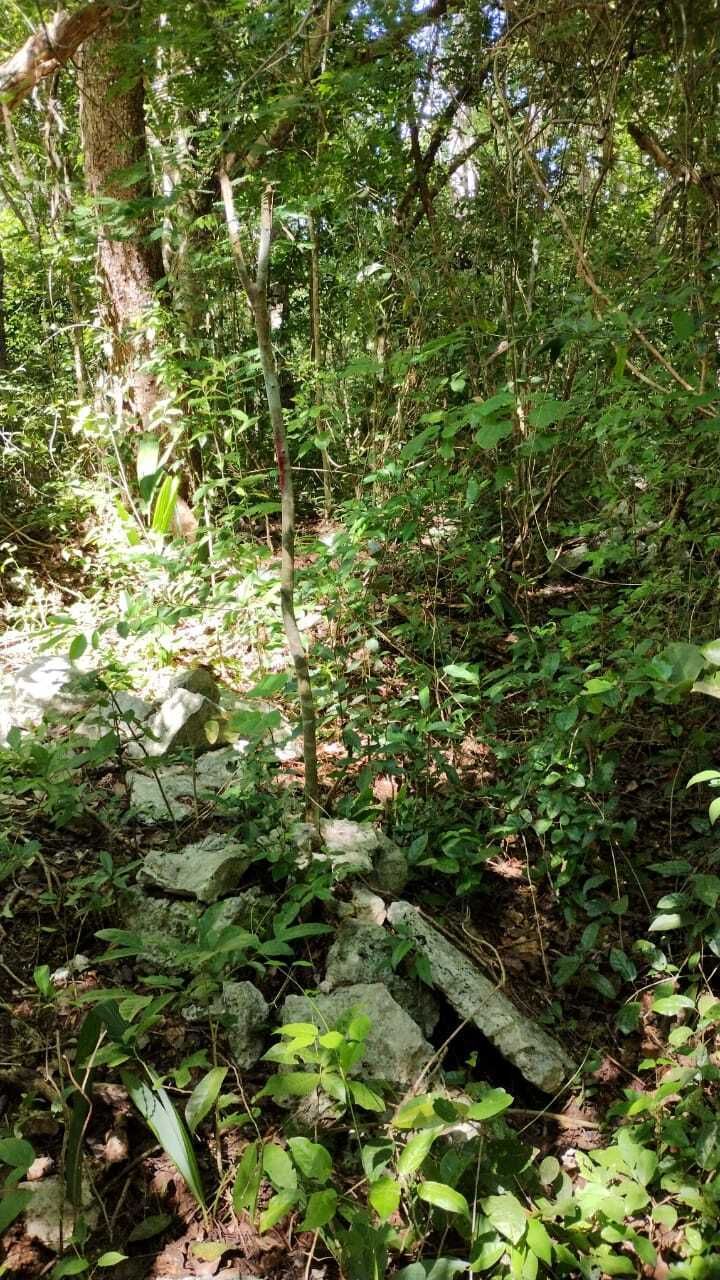 Terreno en Chemax, Chemax, foto 11 de 11
