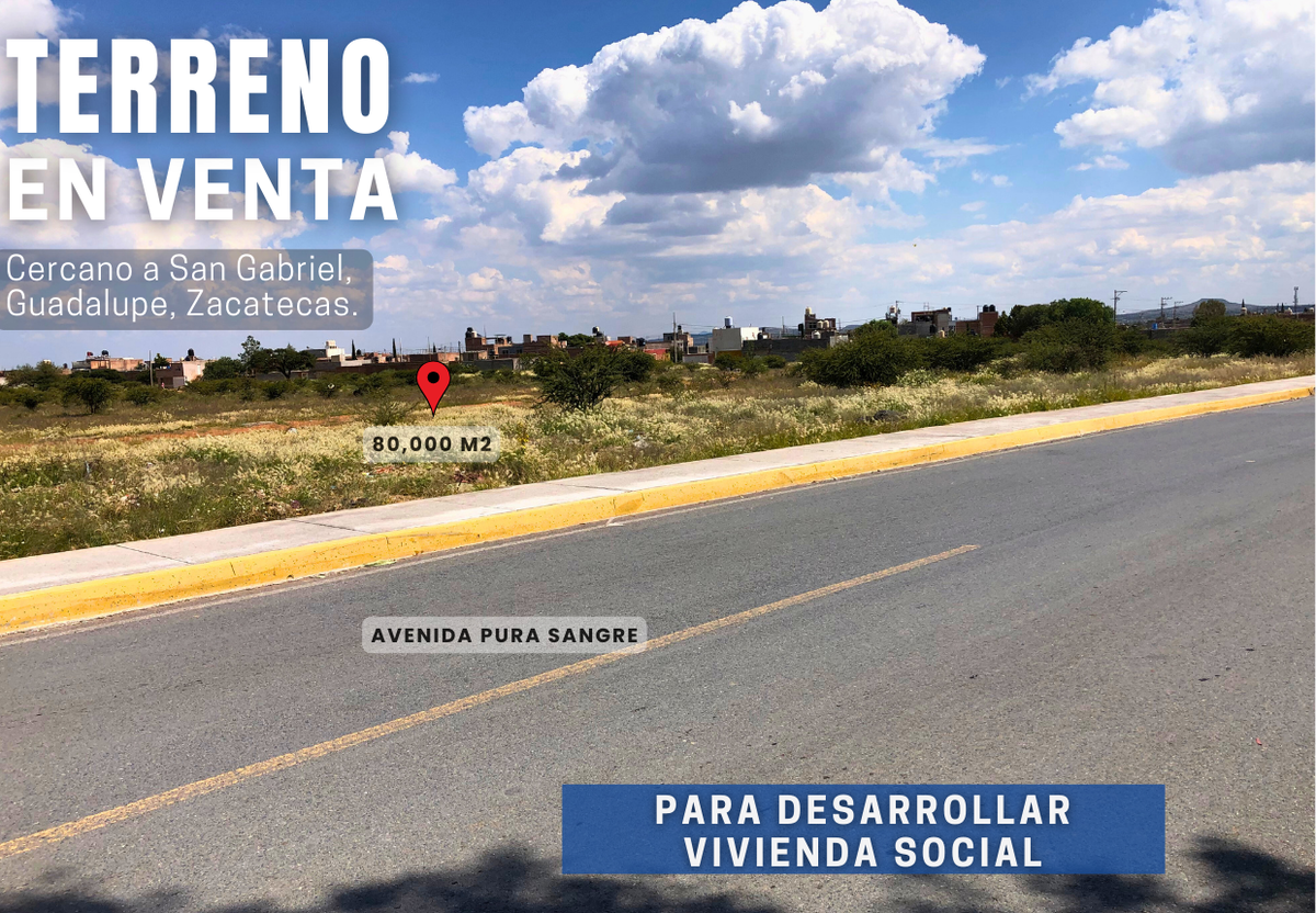 Imagen 5 de 10