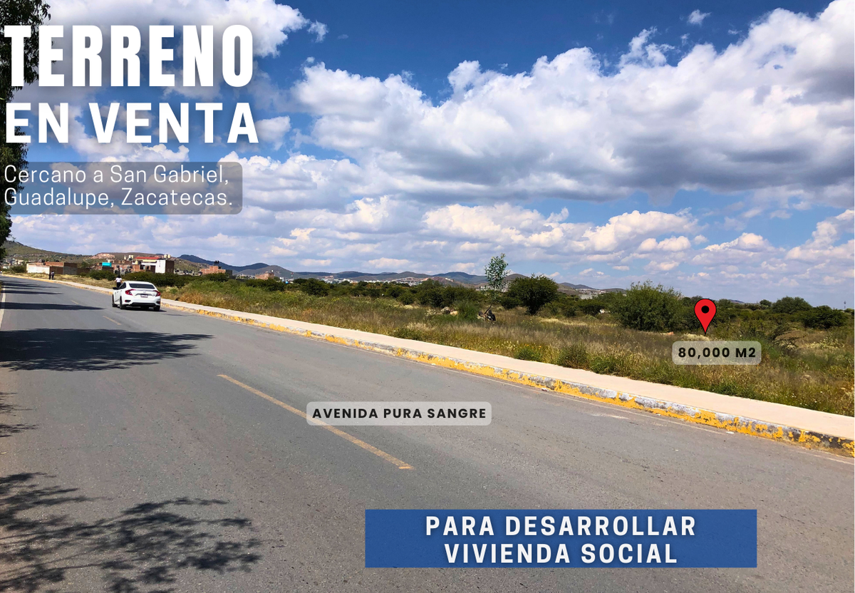 Imagen 6 de 10