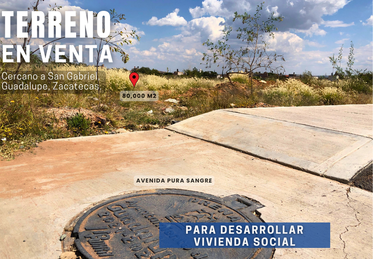 Imagen 7 de 10