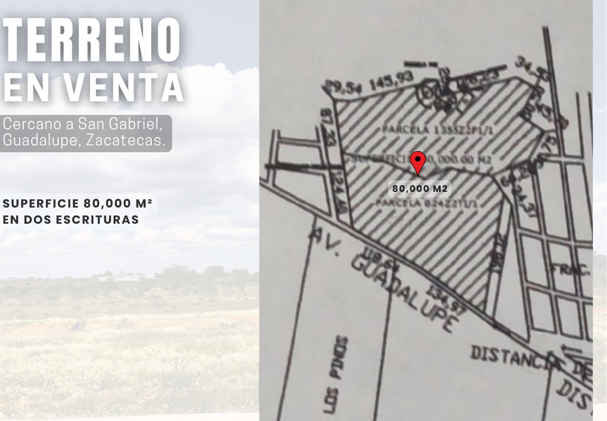 Imagen 10 de 10
