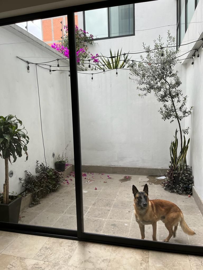 Apartamento em Del Valle Centro, Benito Juárez, foto 5 de 5