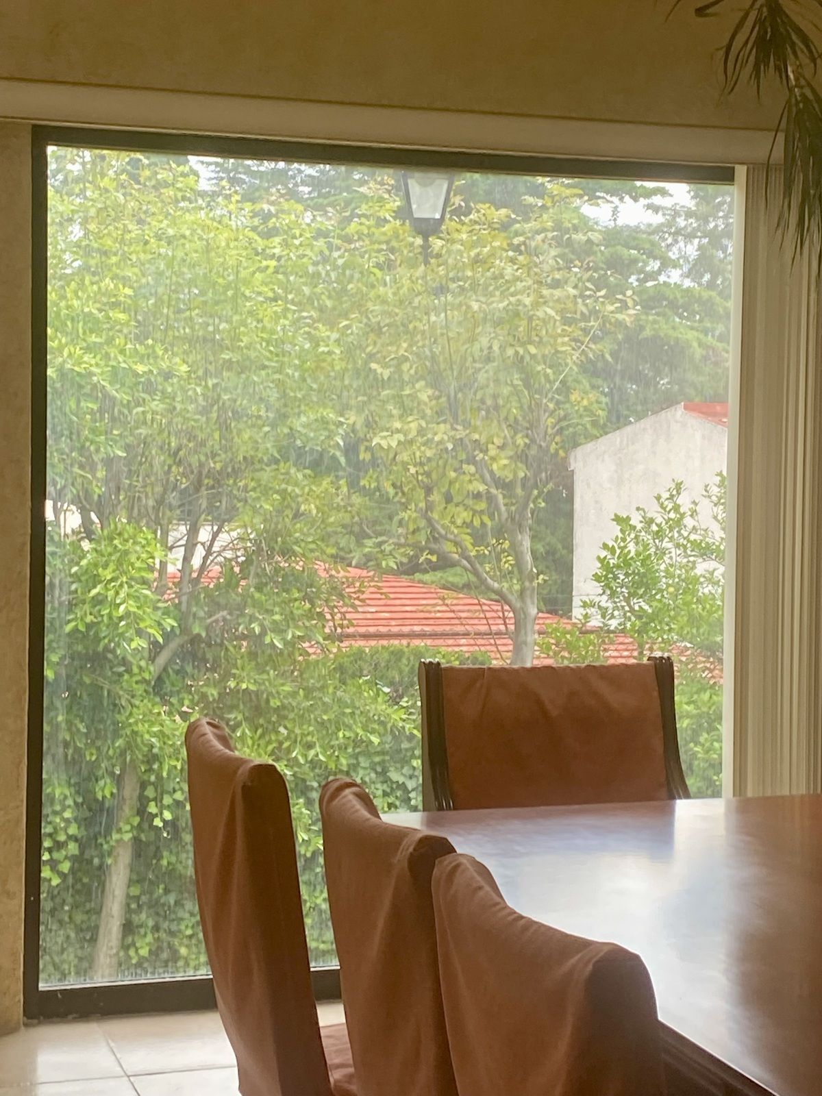 1 de 10: COMEDOR