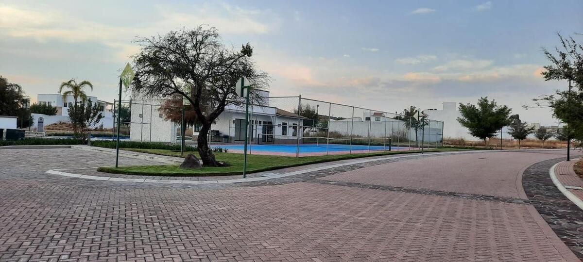 Imagen 3 de 5