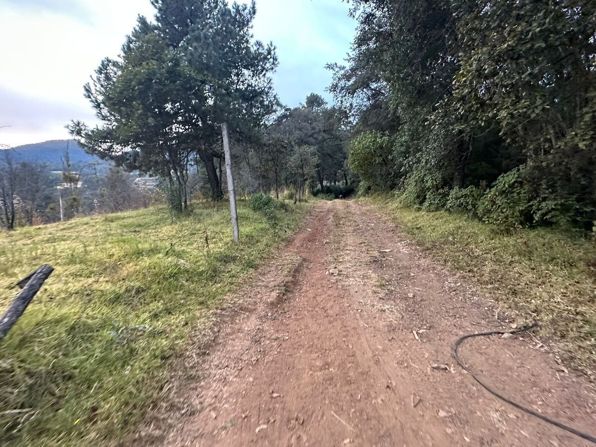 13 de 17