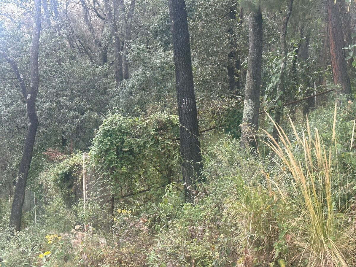 17 de 17