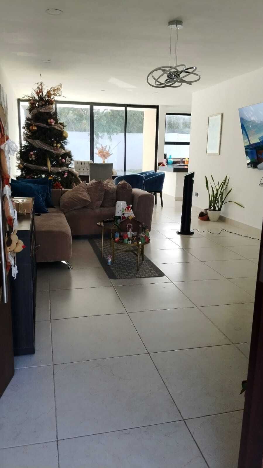 5 de 17