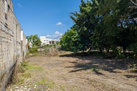 LOTE EN VENTA EN CHICONCUAC MORELOS.