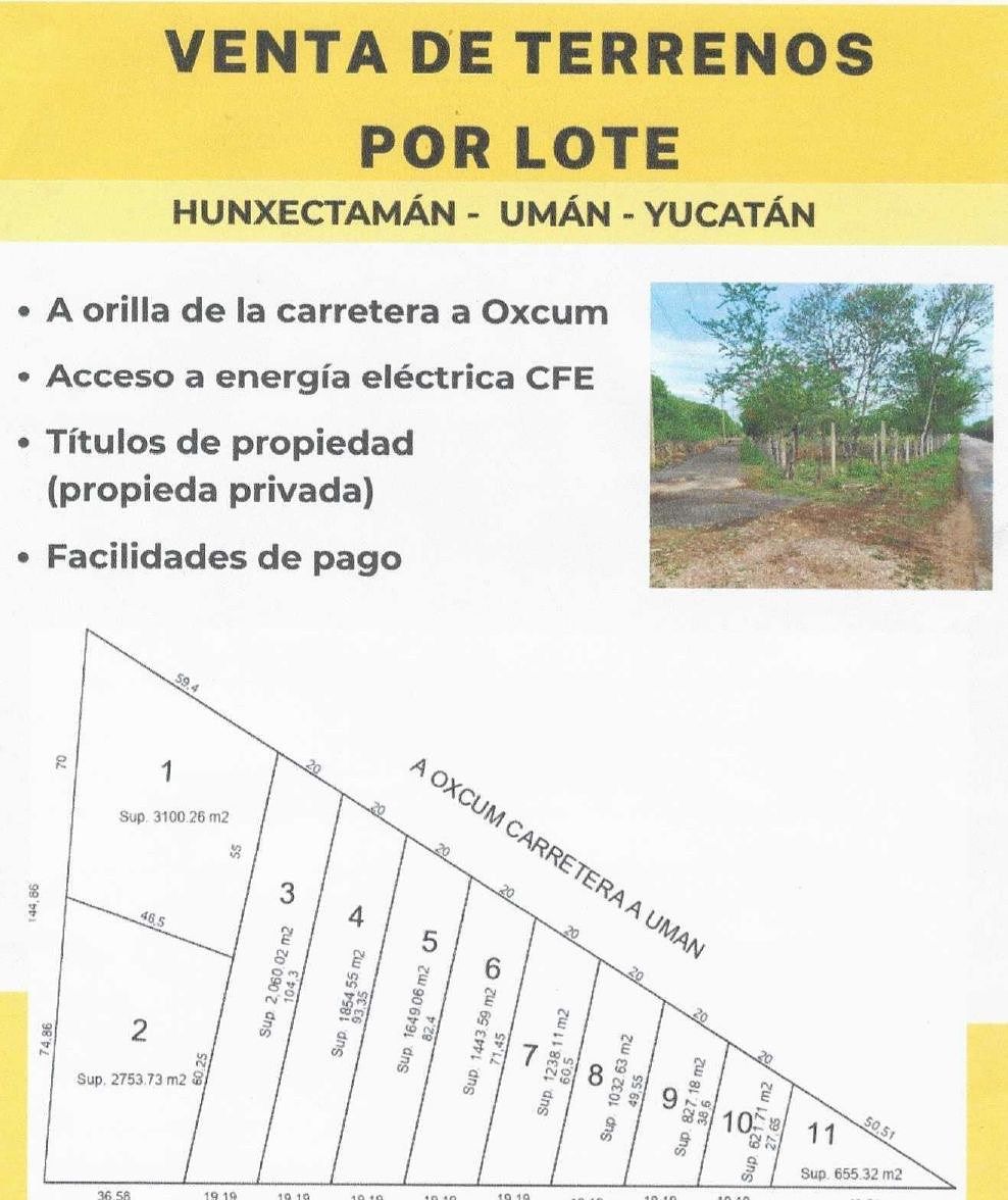 Terreno en Oxcum, Umán, foto 3 de 11