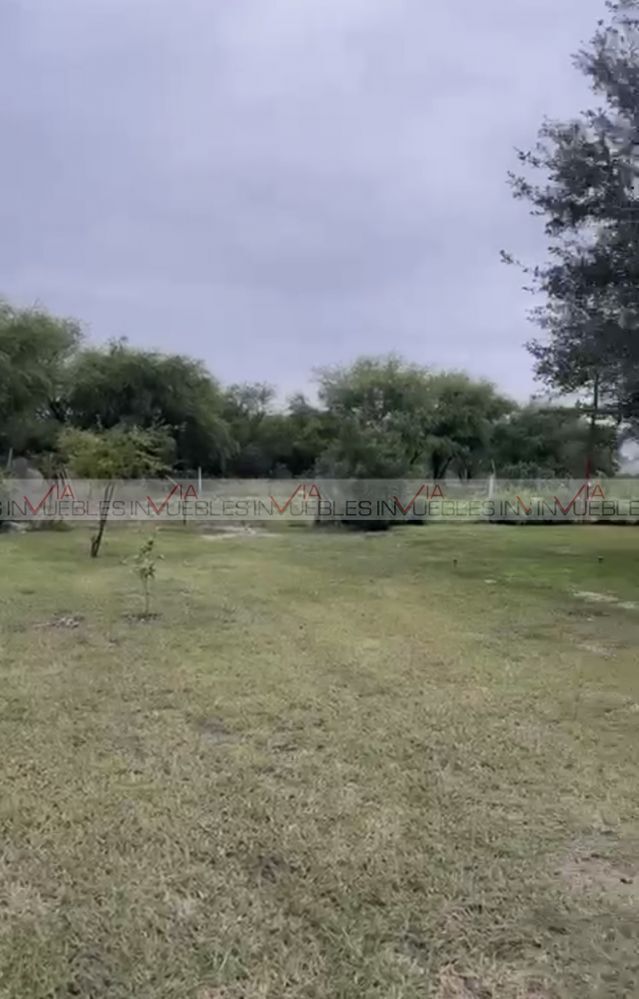 4 de 21