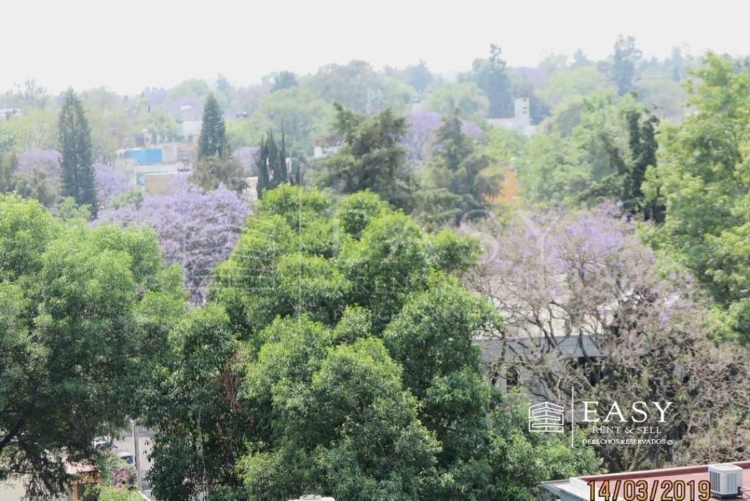 Departamento en Bosque de Chapultepec I Sección, Miguel Hidalgo, foto 5 de 46