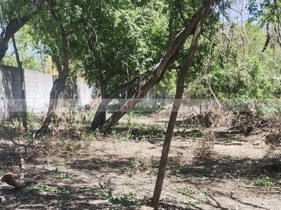Terreno en La Comedia, Guadalupe, foto 9 de 13