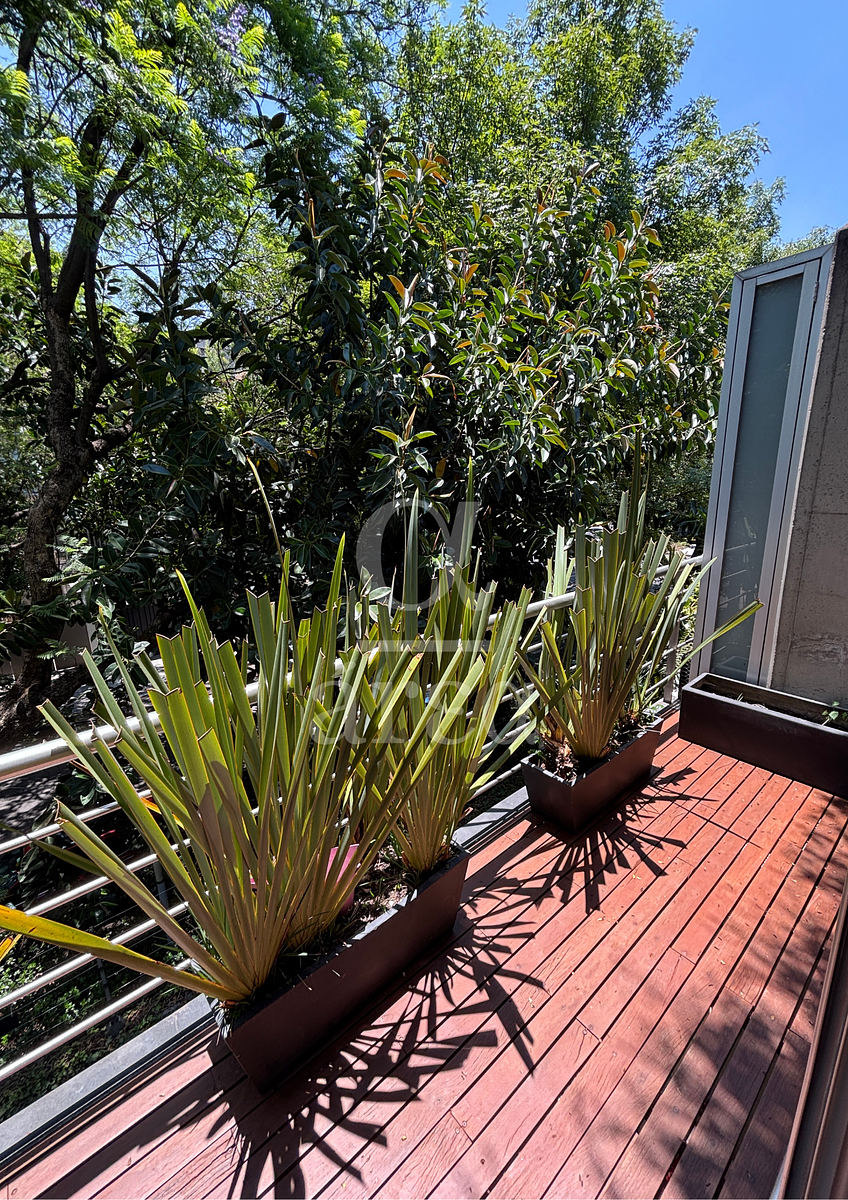 Apartamento em Polanco III Sección, Miguel Hidalgo, foto 16 de 38