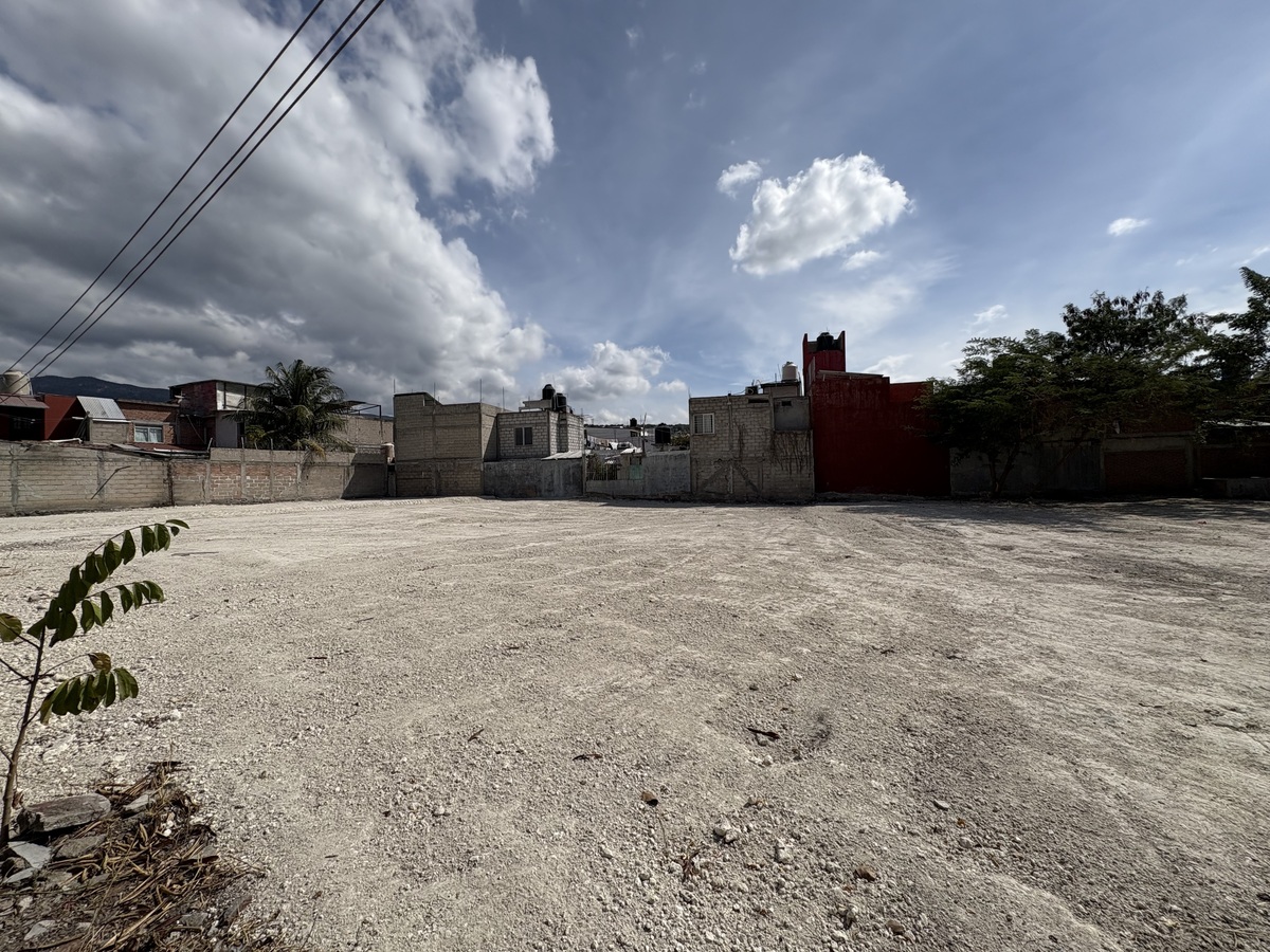 1 de 8