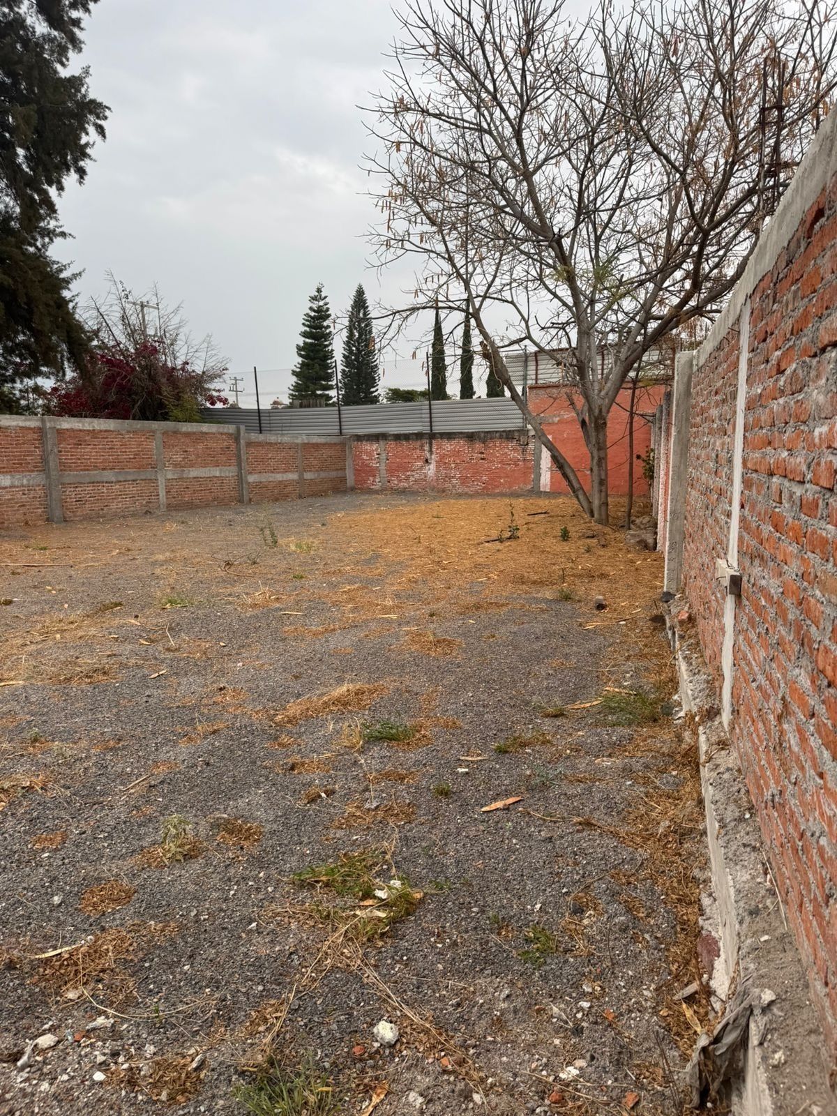 3 de 9
