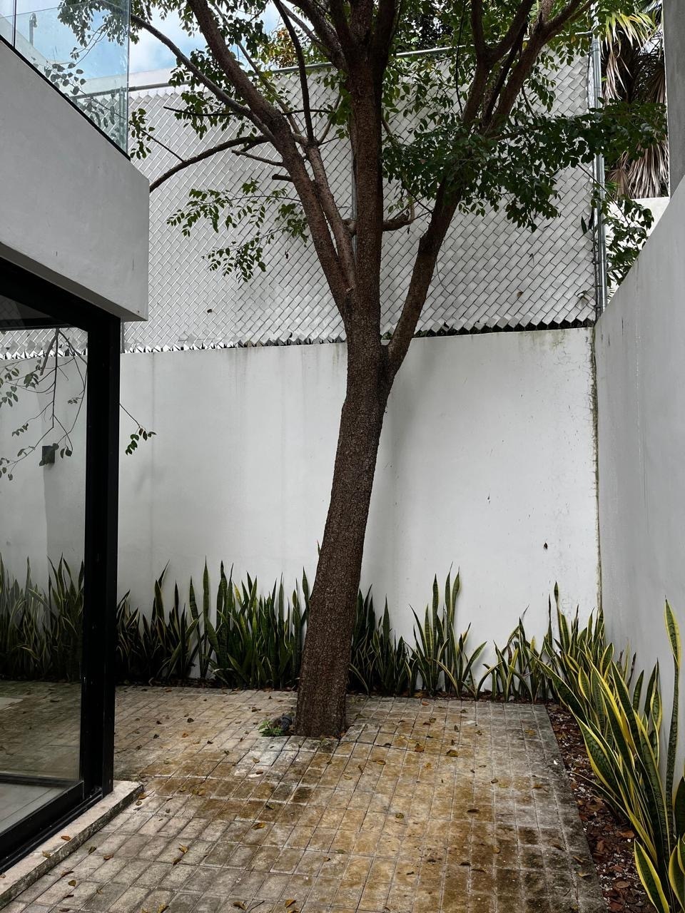 12 de 29