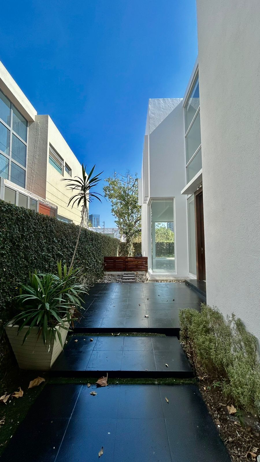 3 de 39: Entrada Principal