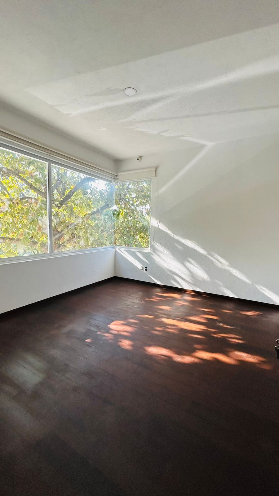 29 de 39: Recámara Secundaria 2