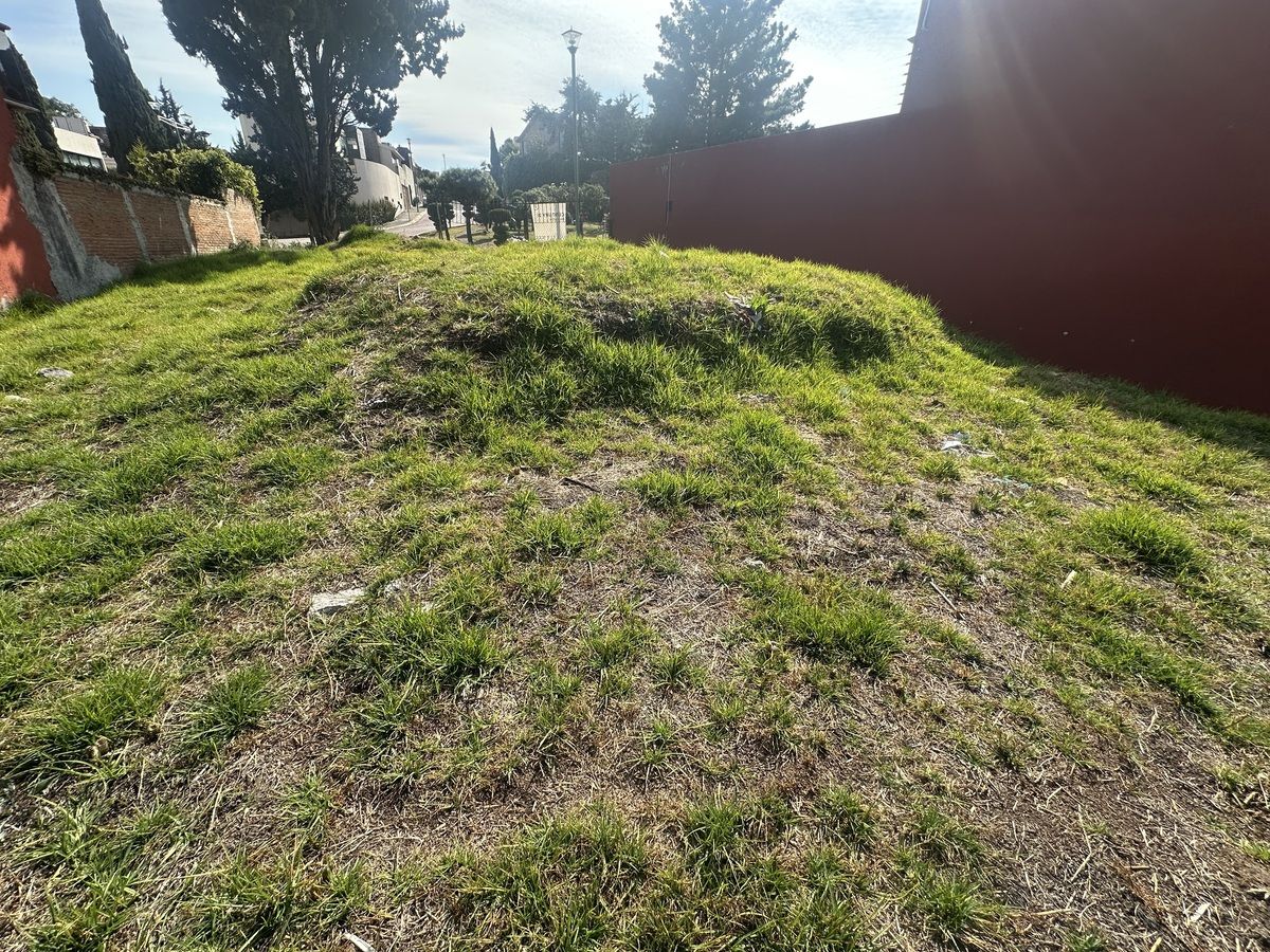 6 de 14
