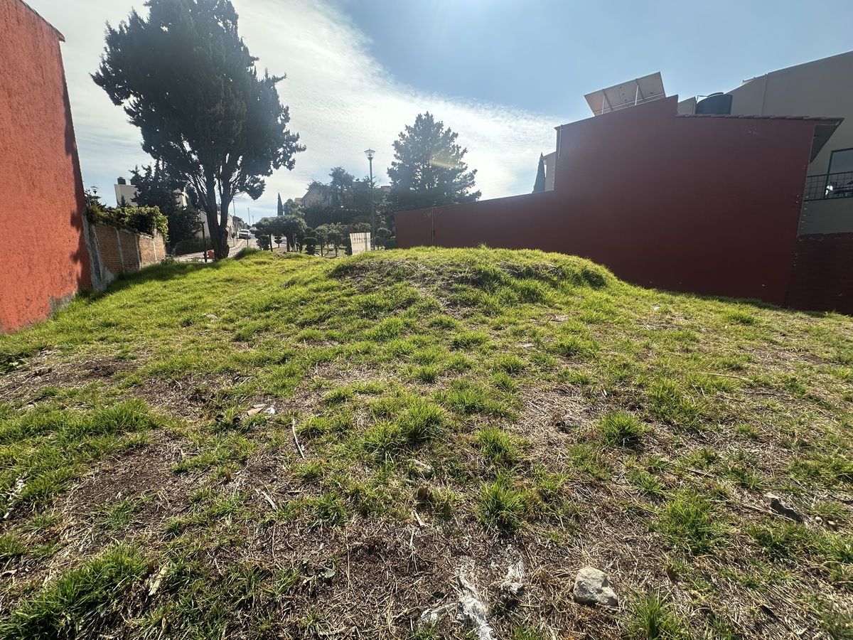 12 de 14