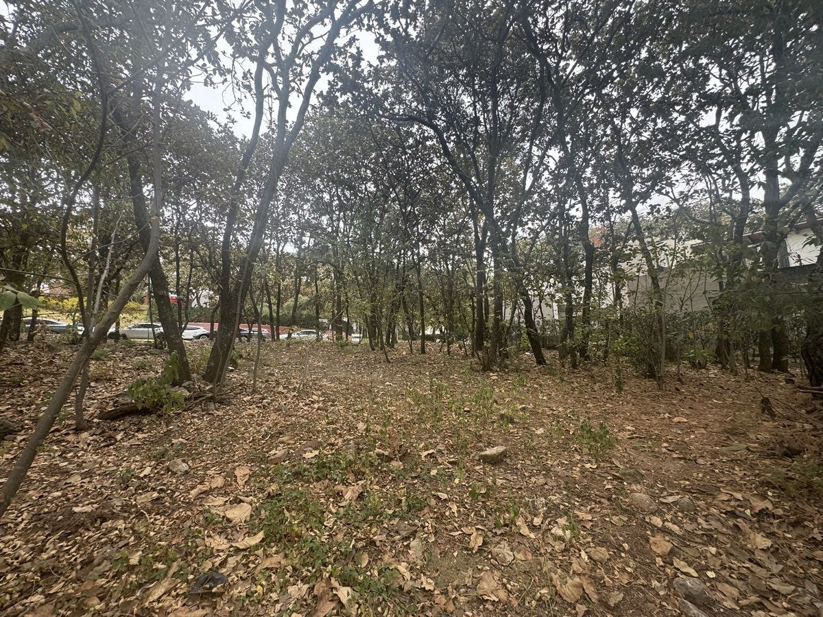 Foto 6 de Terreno en Venta en El Cielo Country Club