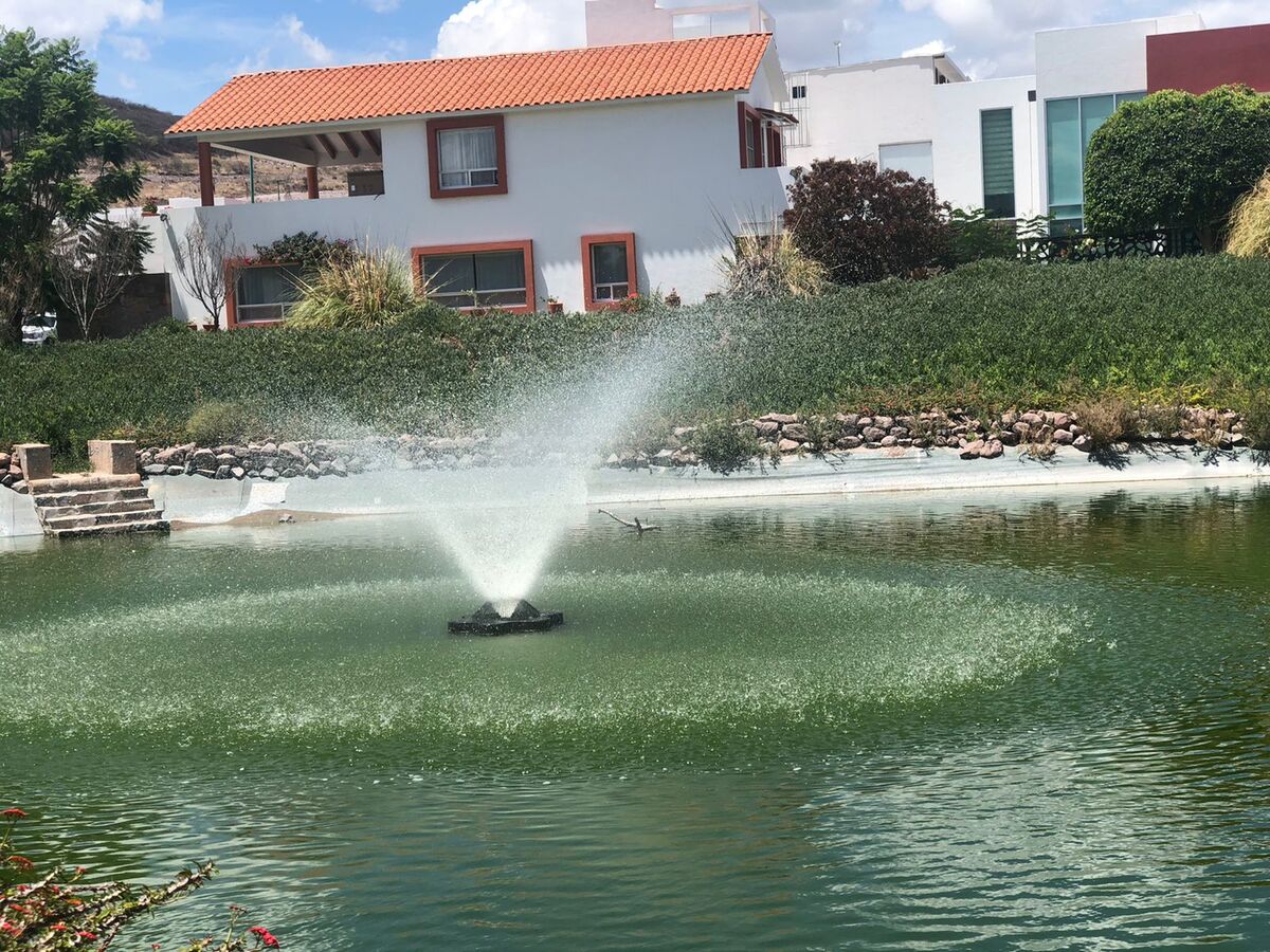 7 de 10