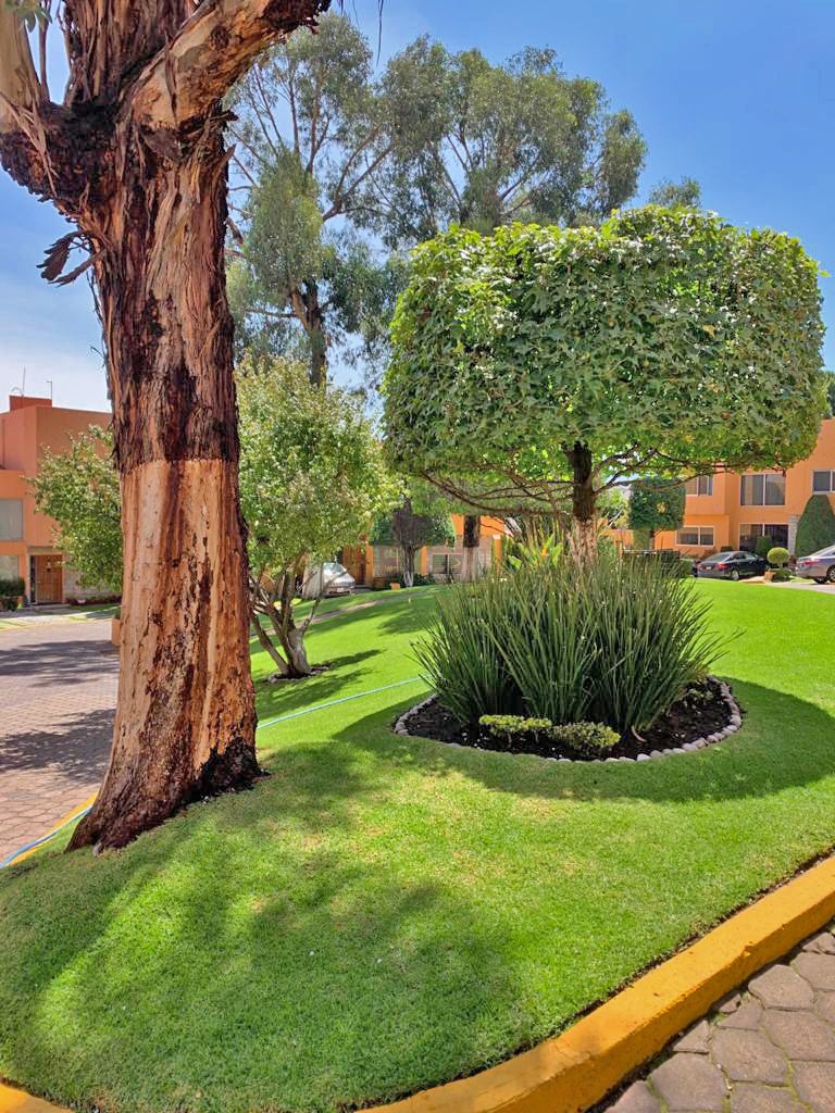 43 de 45: Jardines del conjunto