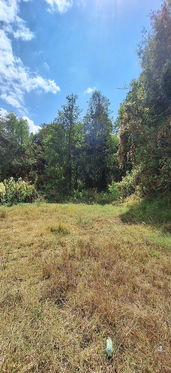 "Terreno Ideal para Cabaña en San Bartolo", foto 1 de 9
