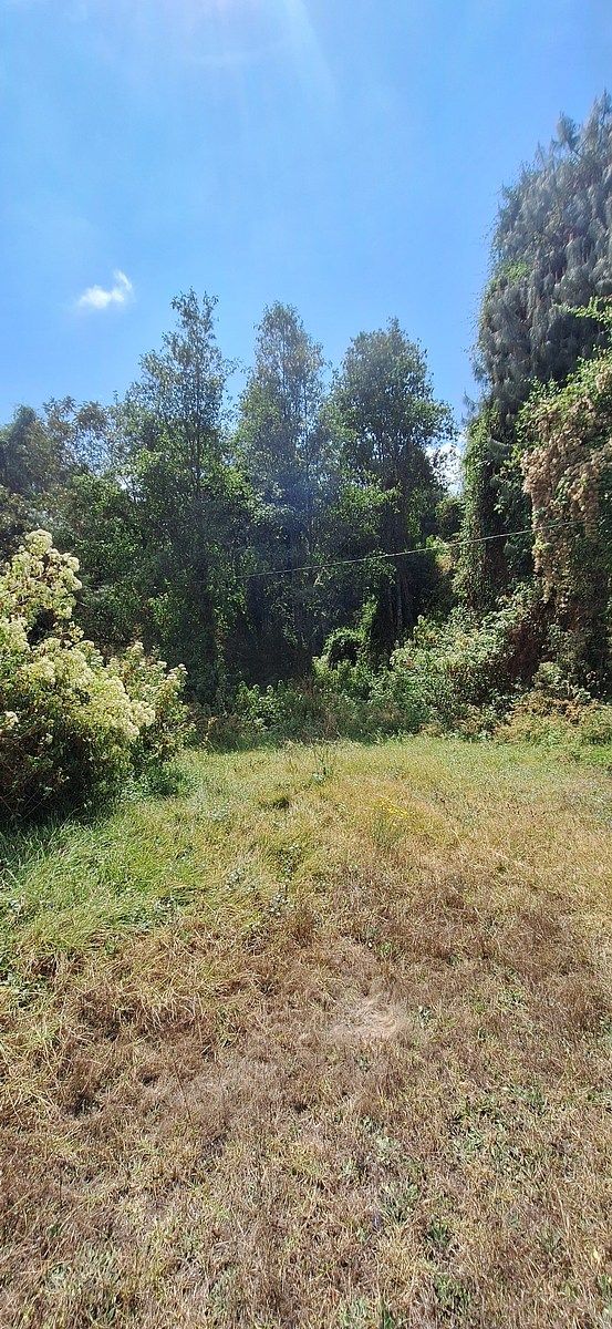 Terreno en San Bartolo, Amanalco, foto 2 de 9