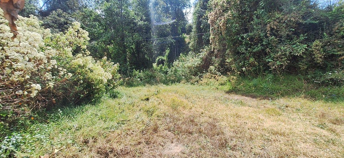 Terreno en San Bartolo, Amanalco, foto 3 de 9
