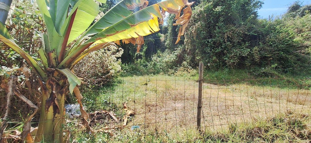 Terreno en San Bartolo, Amanalco, foto 4 de 9
