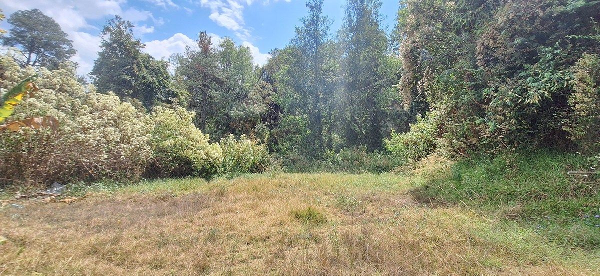 Terreno en San Bartolo, Amanalco, foto 5 de 9