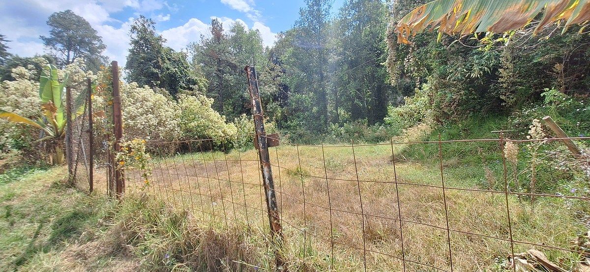 Terreno en San Bartolo, Amanalco, foto 6 de 9