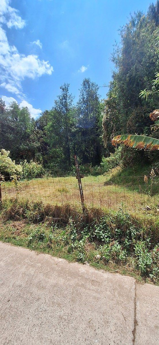 Terreno en San Bartolo, Amanalco, foto 7 de 9