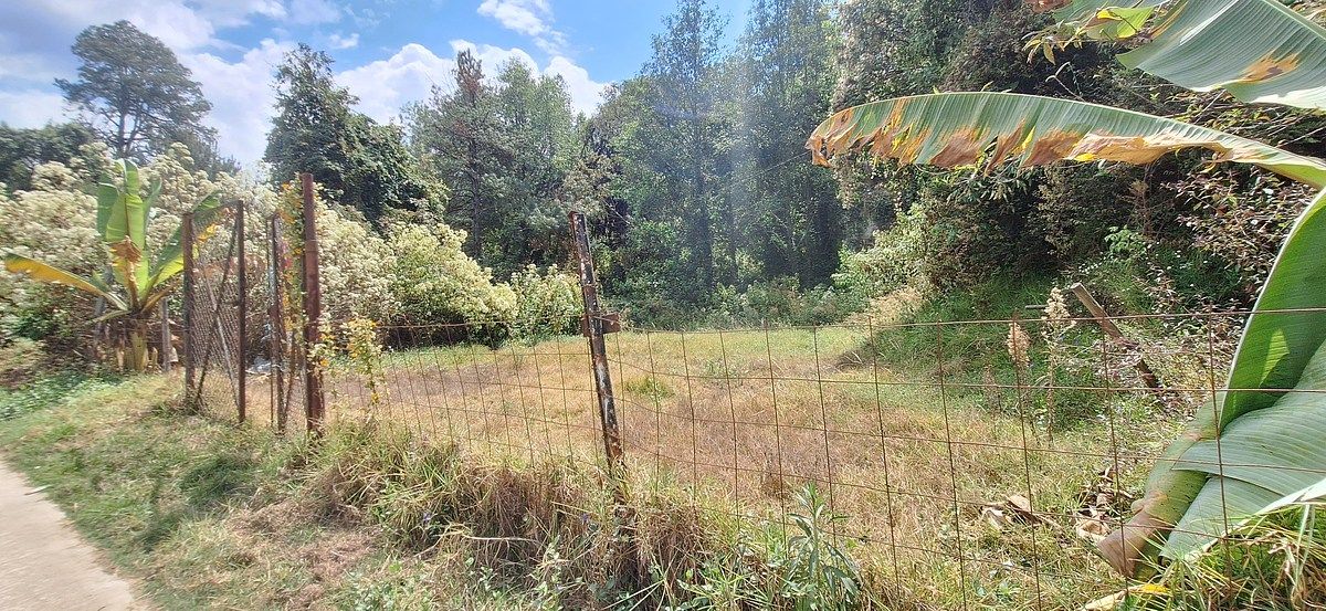 Terreno en San Bartolo, Amanalco, foto 8 de 9