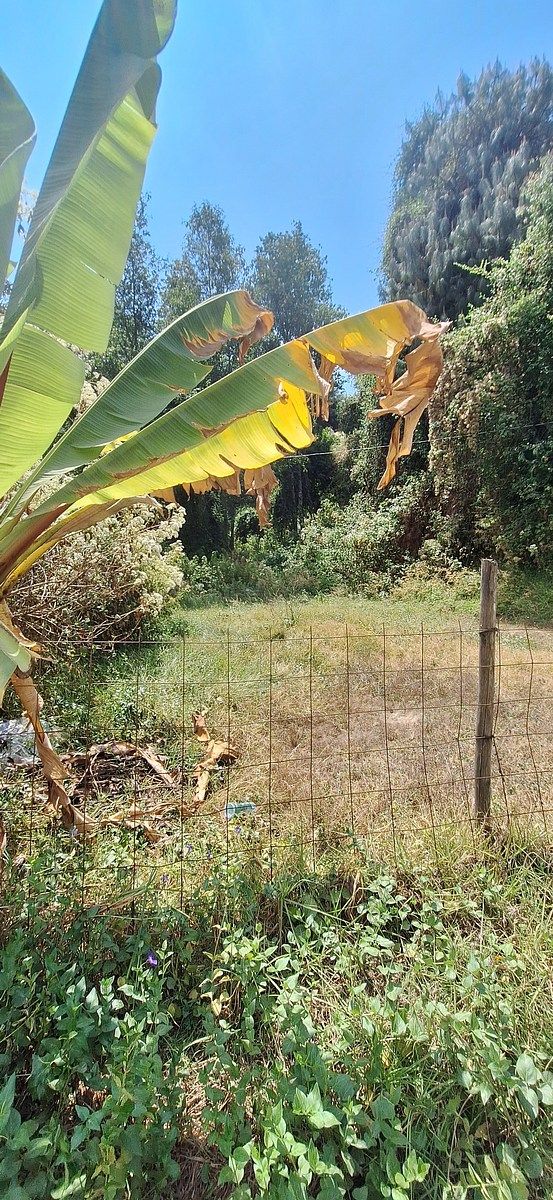 Terreno en San Bartolo, Amanalco, foto 9 de 9