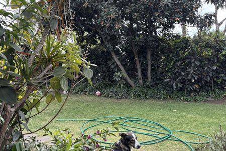 Sale Charming House LOMAS CHAPULTEPEC