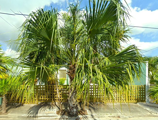 4 de 24: Fachada de frente