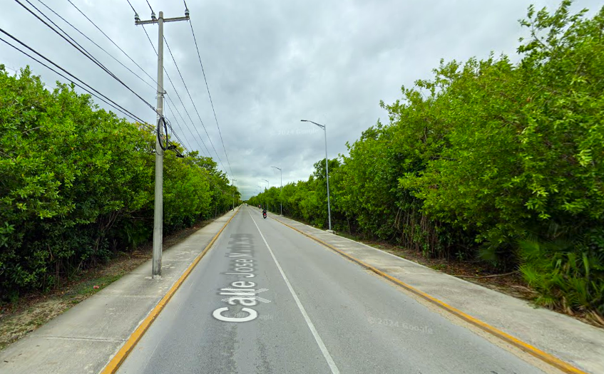 20 de 24: Camino al Puerto 2.5km, ideal para caminatas entre manglares