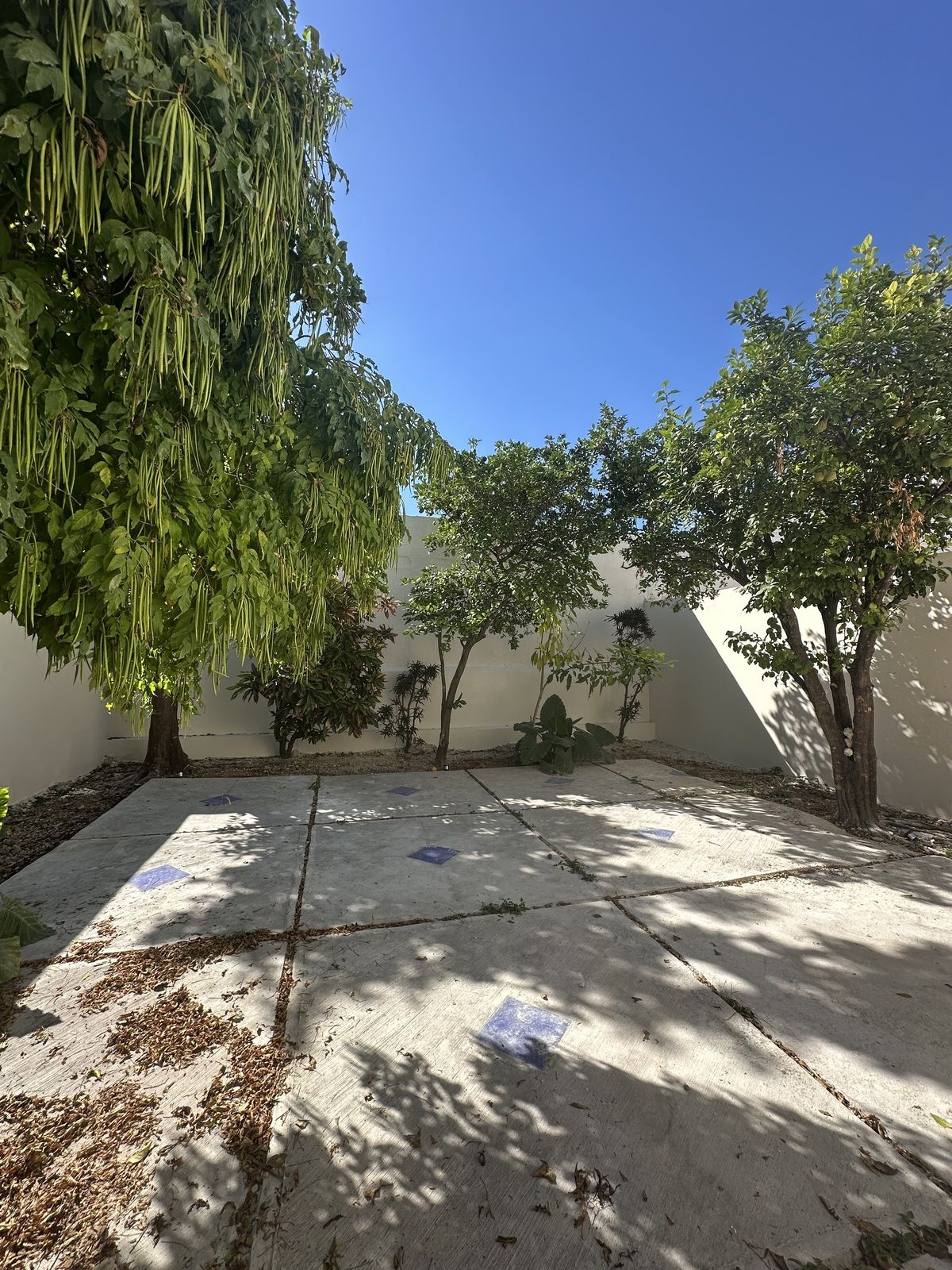 Casa en Residencial Colonia México, Mérida, foto 4 de 18