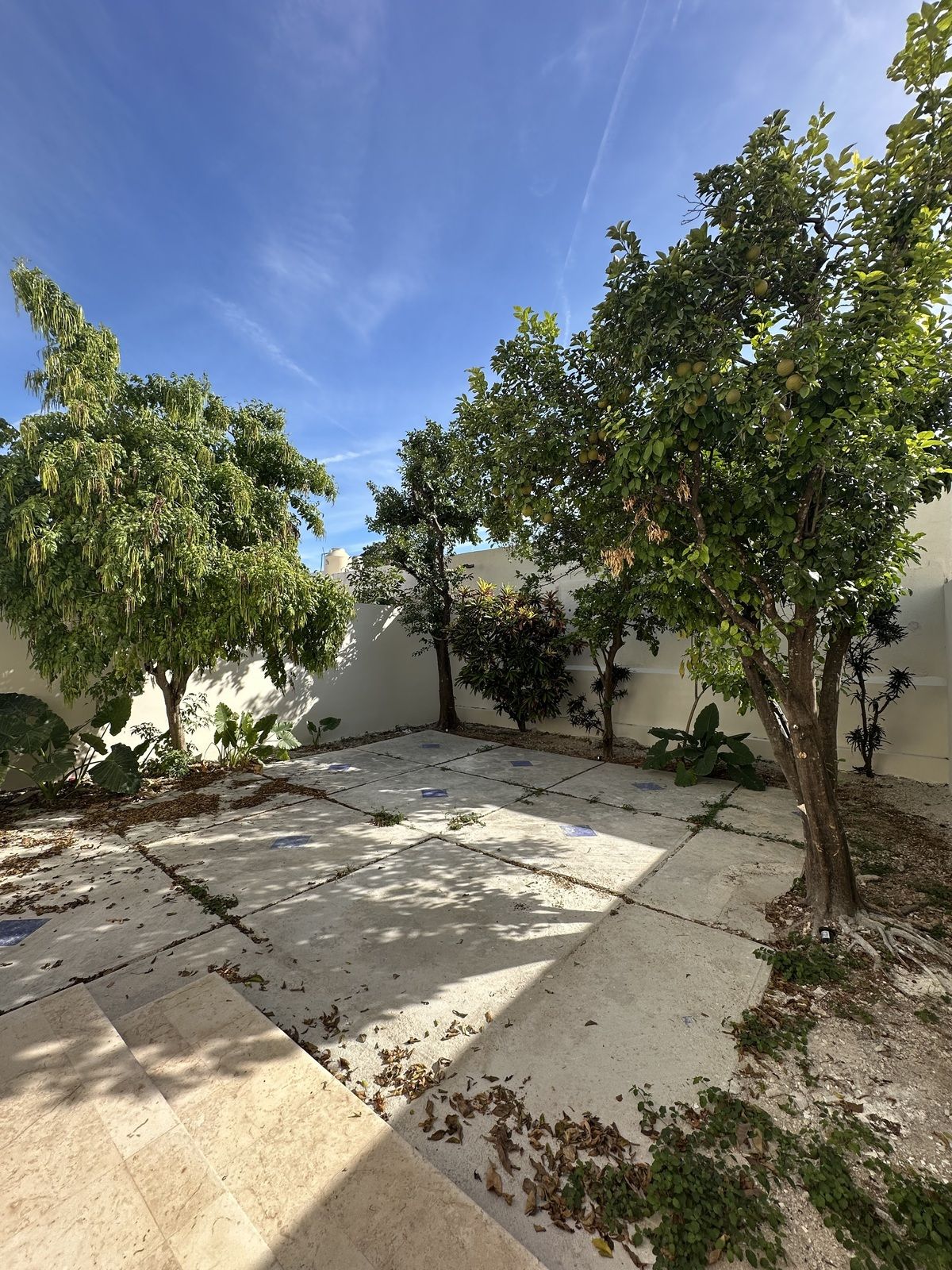 Casa en Residencial Colonia México, Mérida, foto 13 de 18