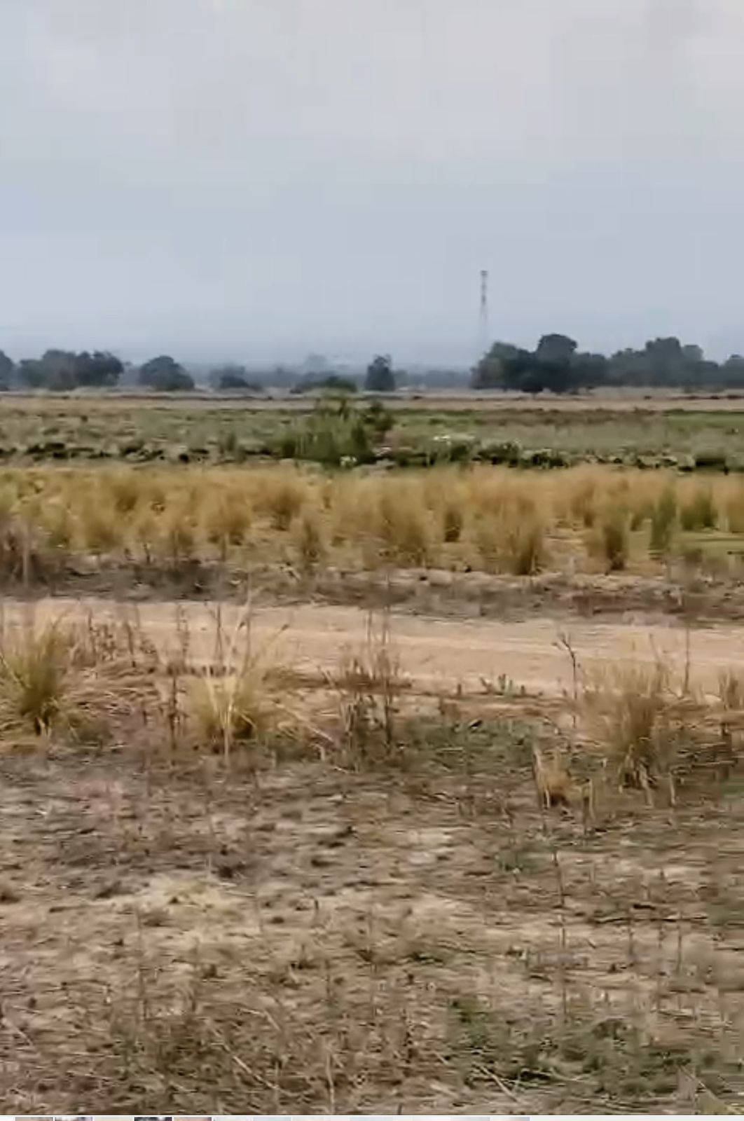 5 de 22