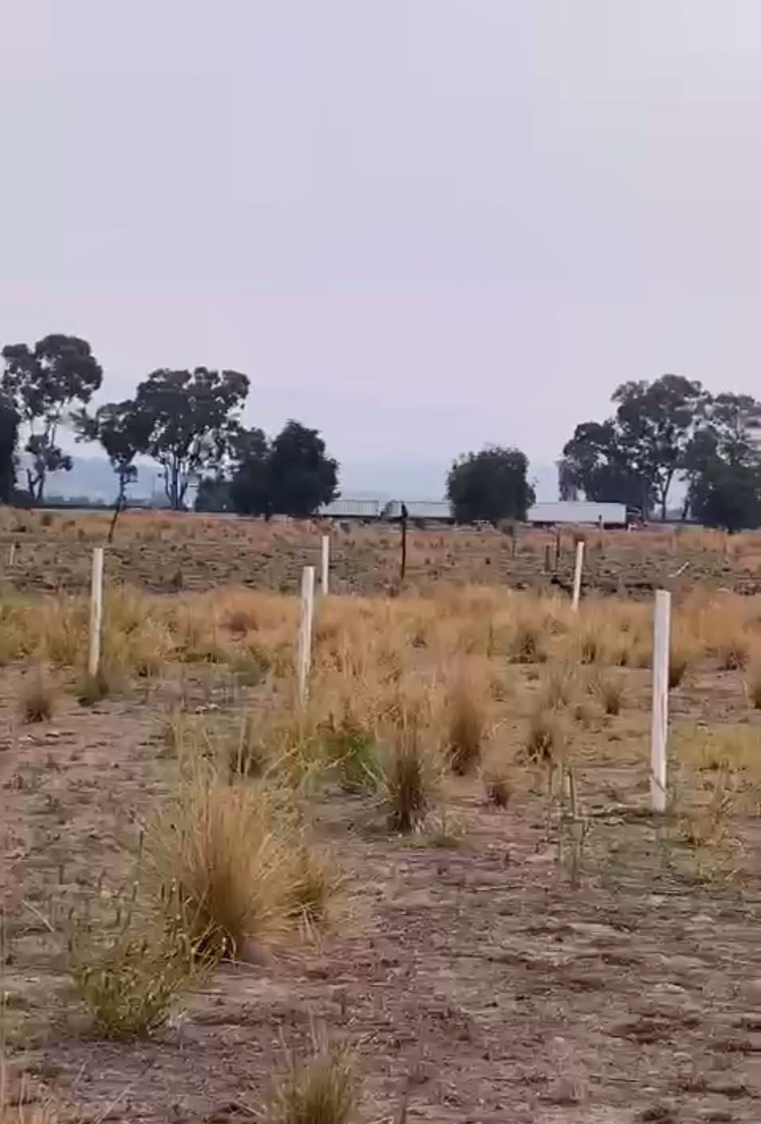 3 de 22