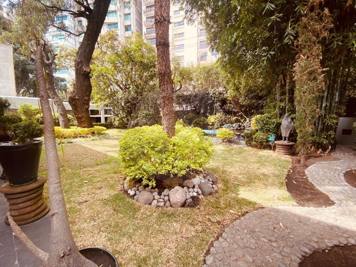 11 de 46